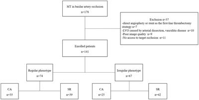 The impact of thrombus surface morphology of the basilar artery on the successful rate of mechanical thrombectomy